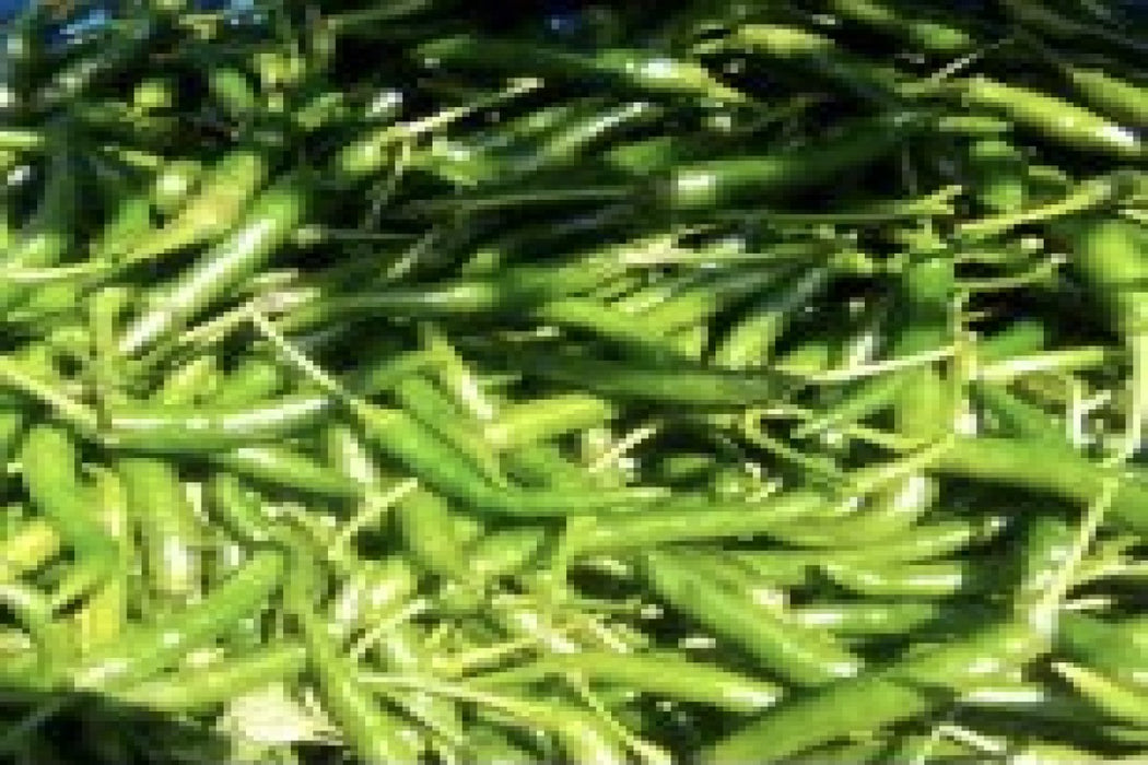 Green chillies from Kenya