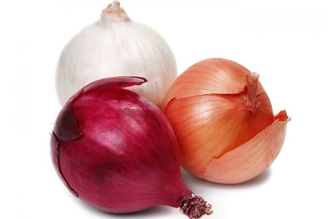 Red Onion from Egypt