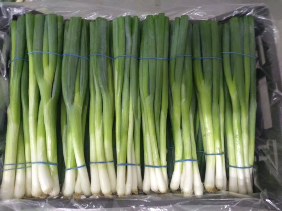 Spring Onions from Egypt