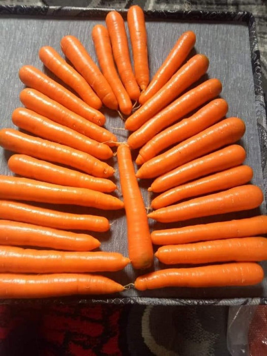 Carrots from Egypt
