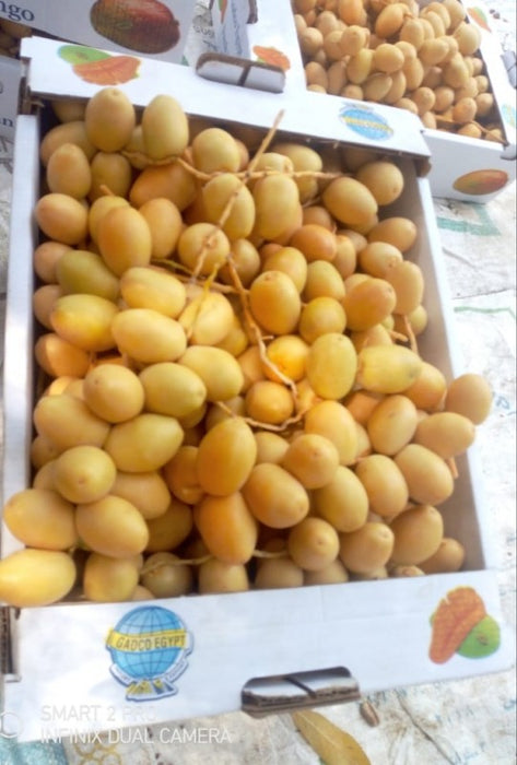 Dates from Egypt