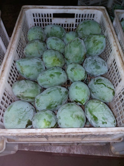 Zebdia Mango from Egypt