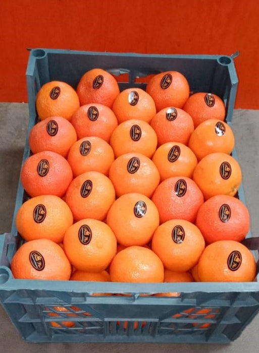 Mandarin from Egypt