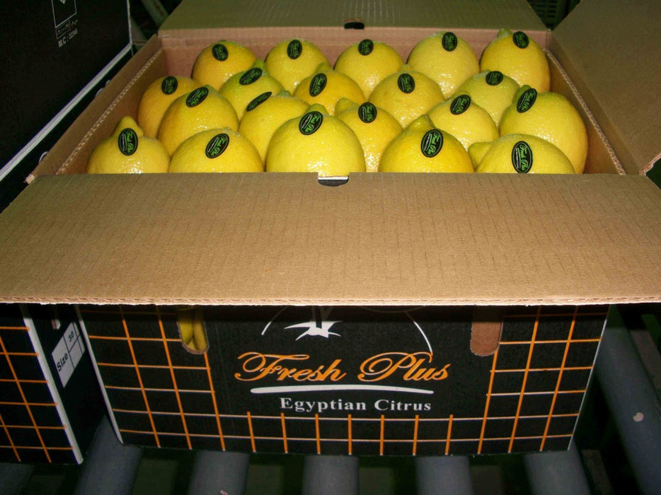 Lemon from Egypt