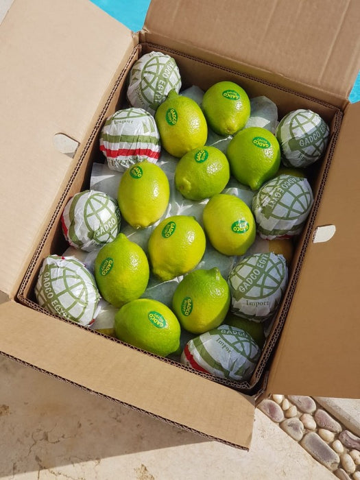 Lemons from Egypt