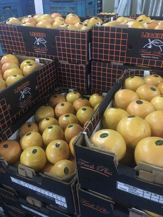 Grapefruit from Egypt
