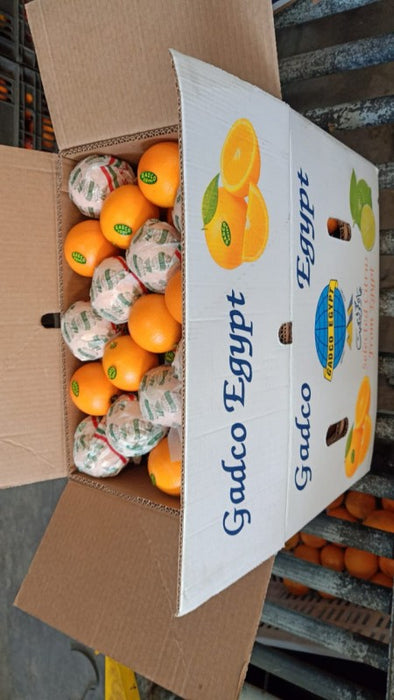 Oranges from Egypt