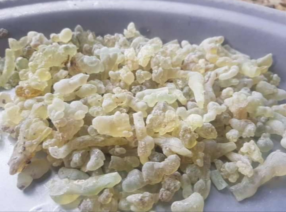 Organic Frankincense from Ethiopia