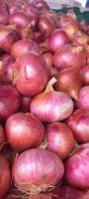 Onions from Ethiopia