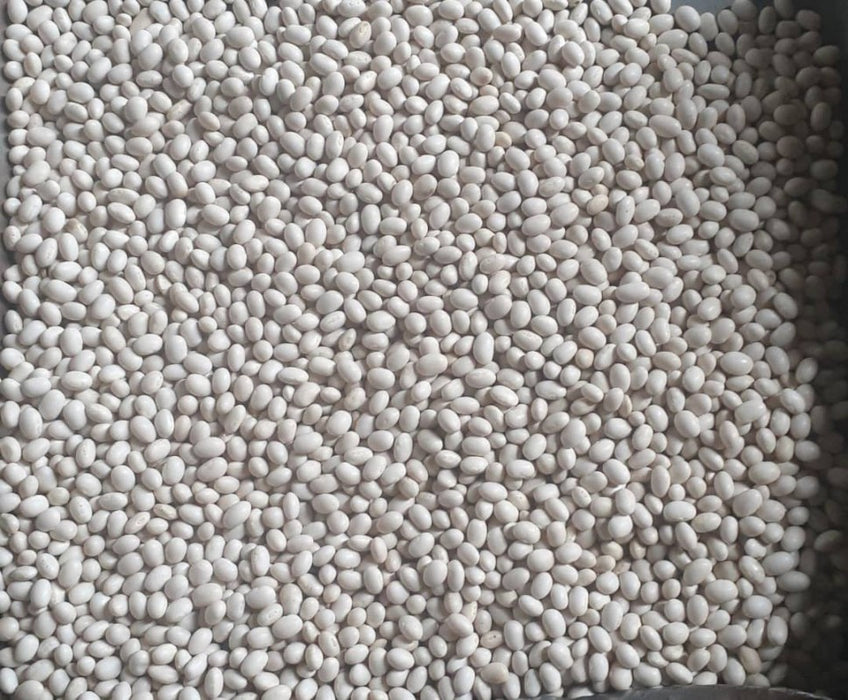 White Beans from Ethiopia