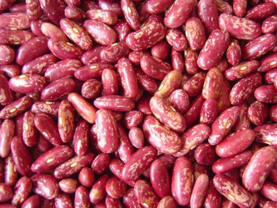 Red Speckled Kidney Beans from Ethiopia