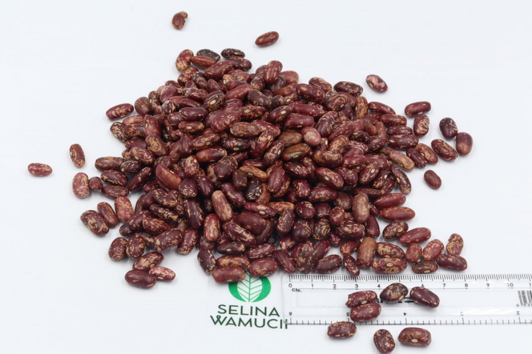 Speckled Kidney Beans from Ethiopia