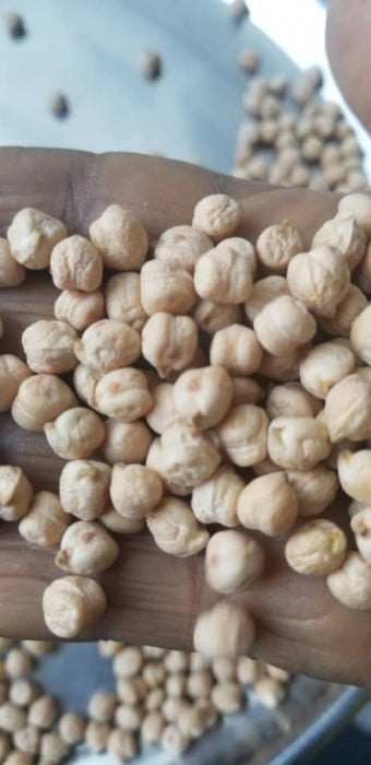 KABULI CHICKPEAS from Ethiopia