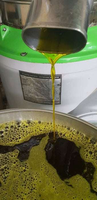 Crude Avocado Oil from Ethiopia