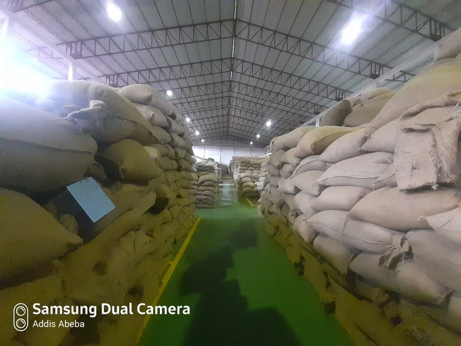 Green Natural Arabica Coffee from Ethiopia