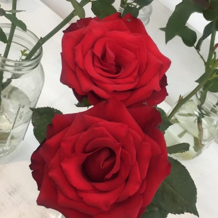 Flowers from Kenya
