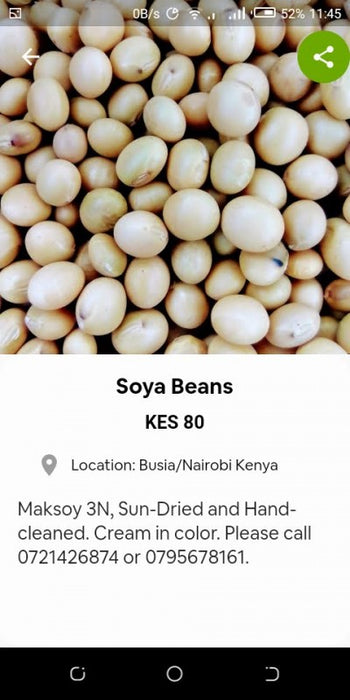 Soya Beans from Kenya