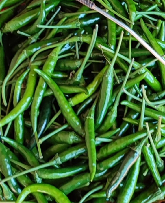 Chillies from Kenya