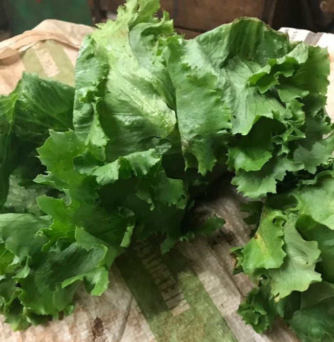 Lettuce from Kenya