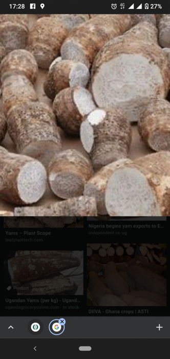 Kenya Yams from Kenya