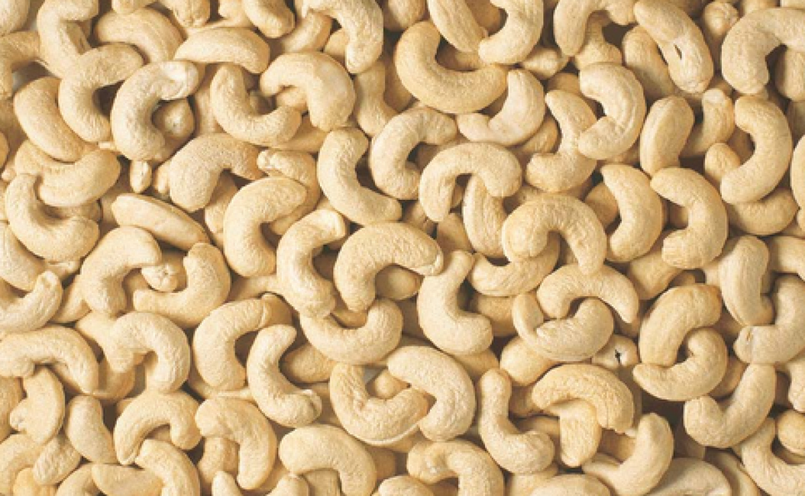Cashew Nuts from Kenya