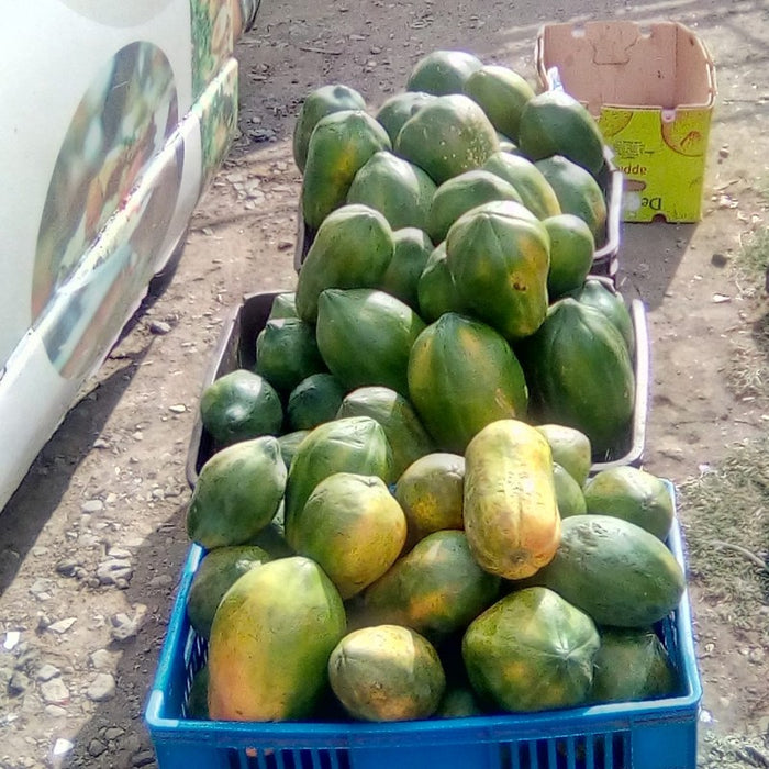 PAWPAW from Kenya