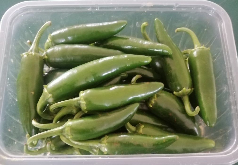 Jalapeno Pepper from Kenya
