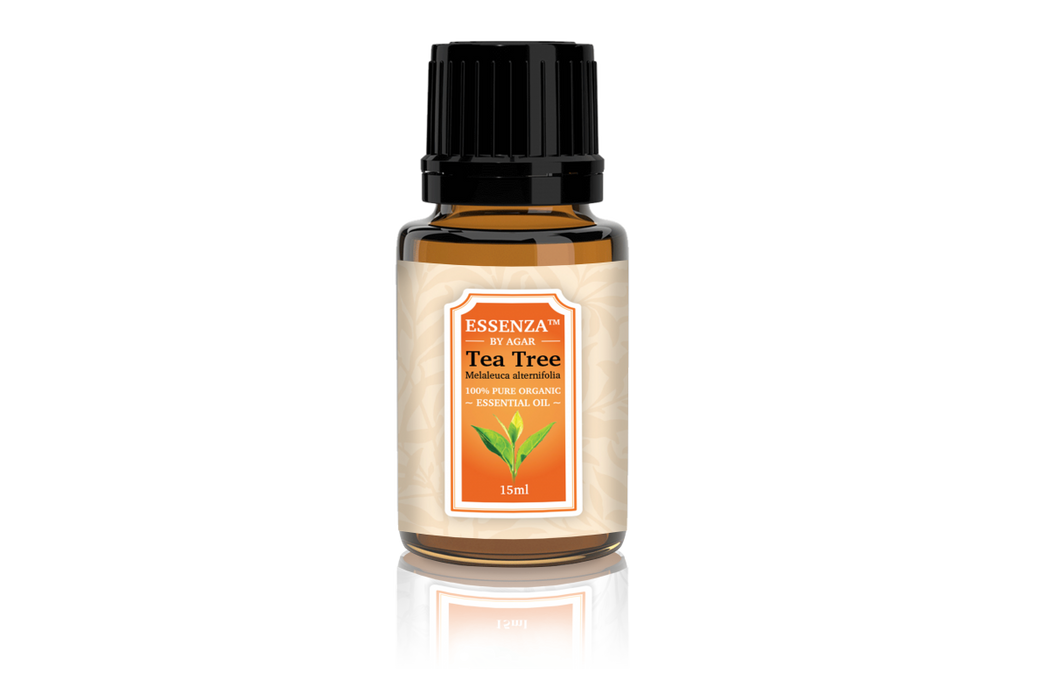 Tea tree (Melaleuca alternifolia) from Kenya