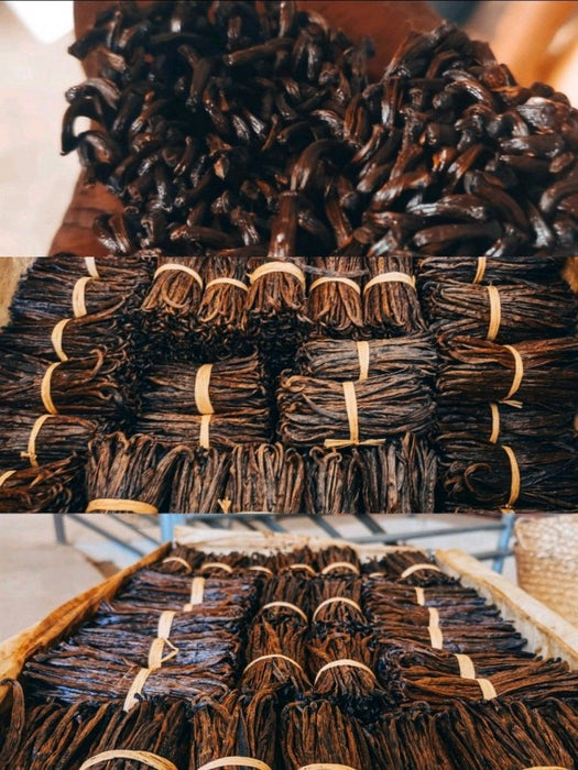 Vanilla Beans from Madagascar