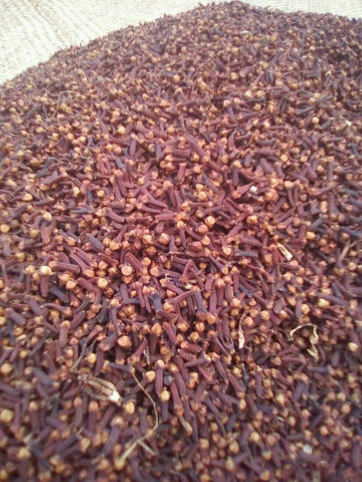 ORGANIC CLOVES from Madagascar