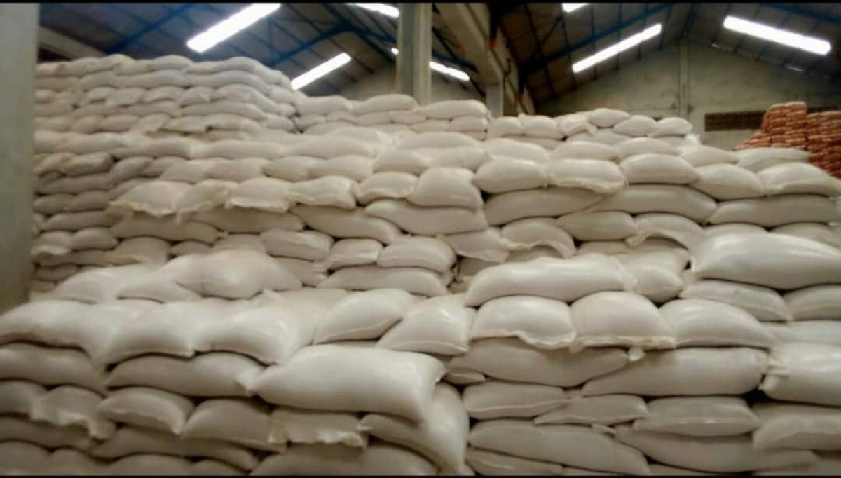 Soya Beans from Malawi