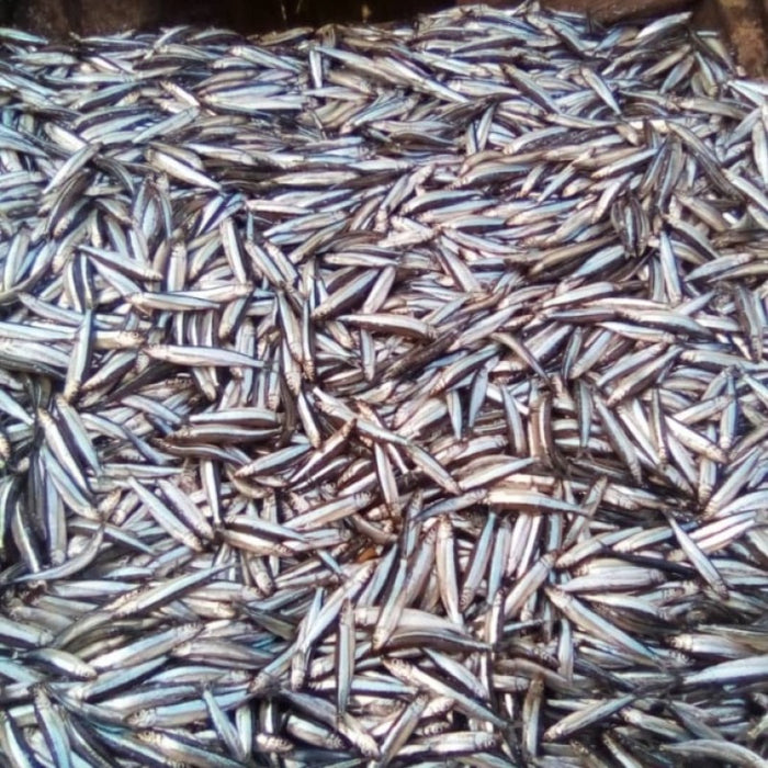 Sardine from Tanzania