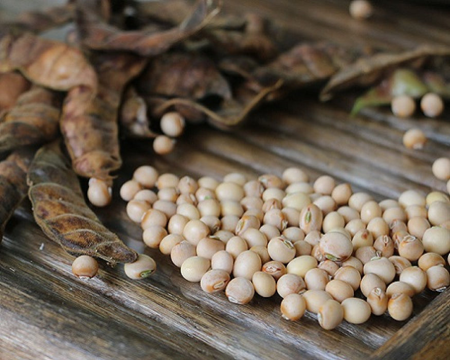 Pigeon Peas from Tanzania