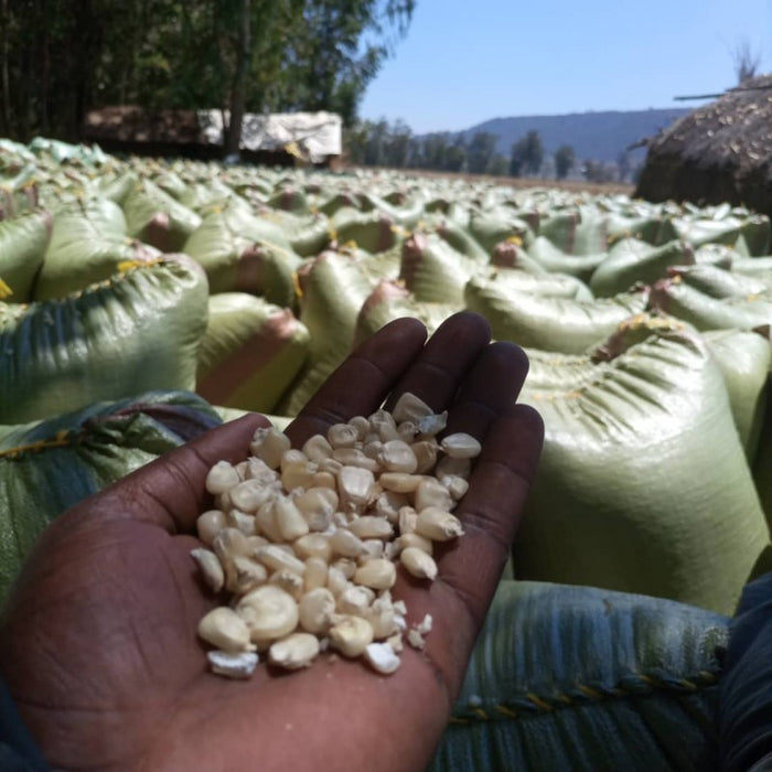White Maize from Tanzania