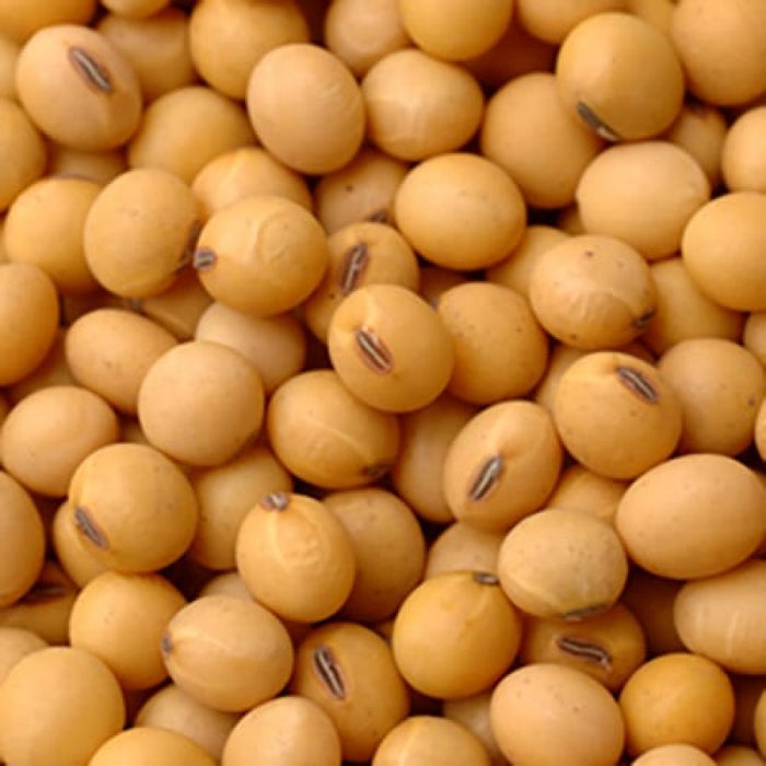 Soya Beans ( NON-GMO) from Tanzania