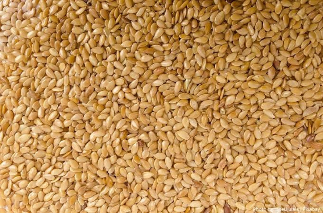 SESAME SEEDS FROM TANZANIA from Tanzania