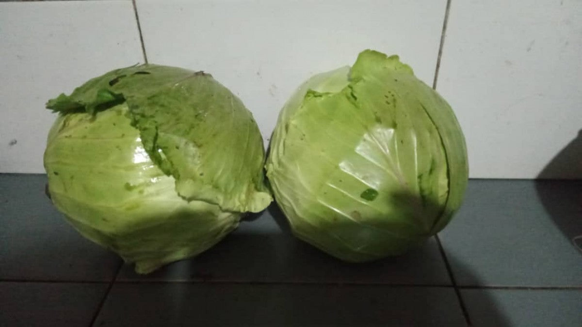 Cabbages from Uganda