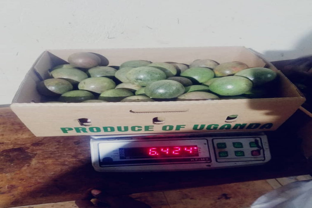 Passion fruits from Uganda