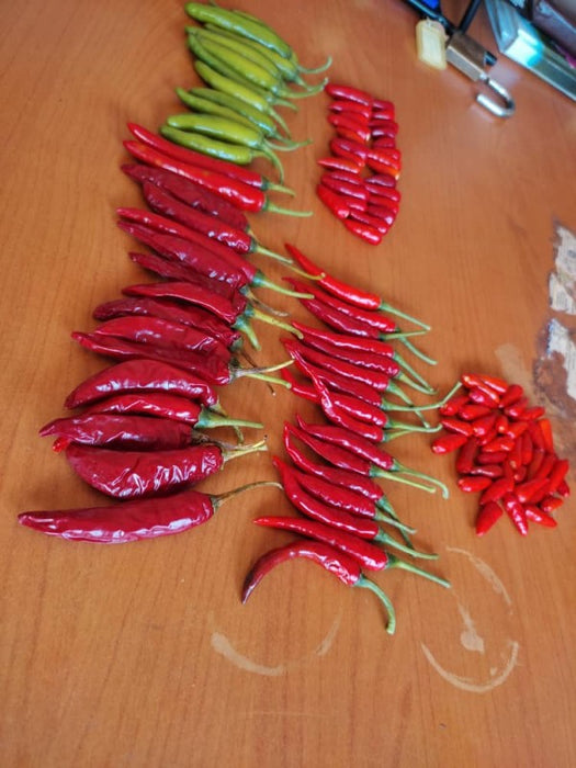Organic chill from Uganda