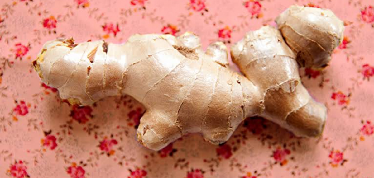 Ginger from Uganda