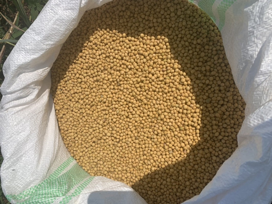Soya bean n3 type from Uganda