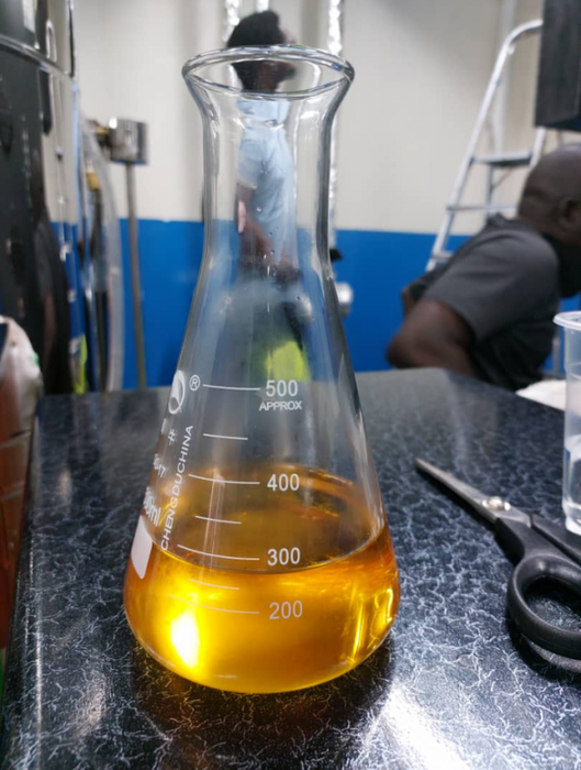 Pure Eucalyptus Globulus Oil from Uganda