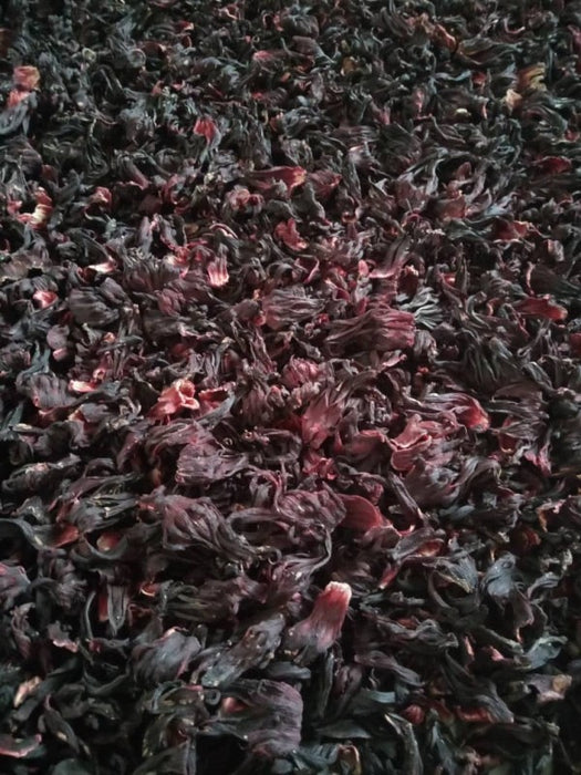 Hibiscus Flowers from Uganda