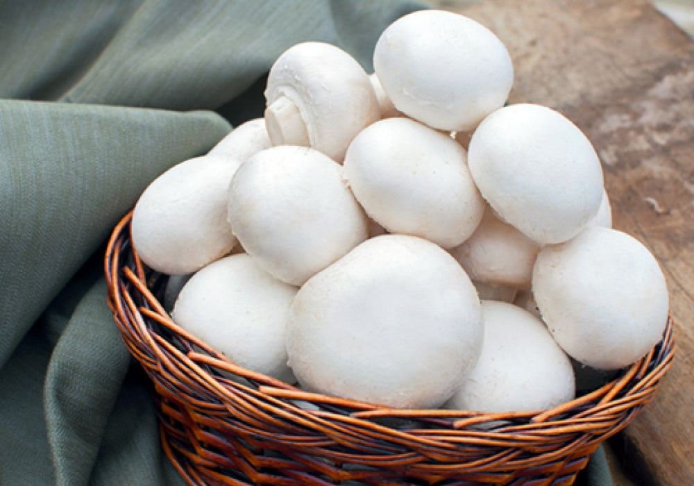 Button Mushrooms from Zimbabwe