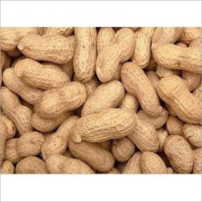 Groundnuts from Zimbabwe