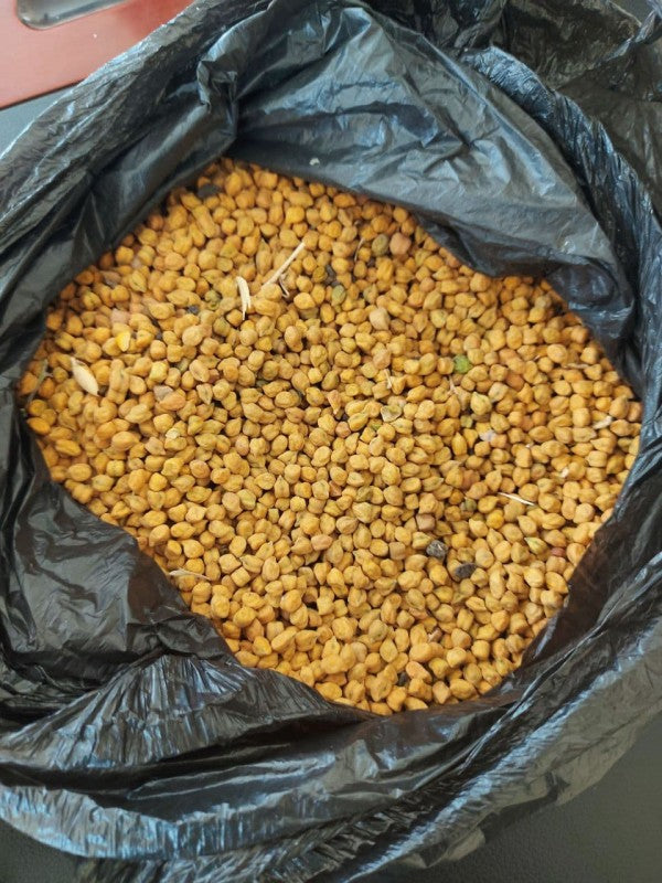 Ethiopian Desi Chickpeas from Ethiopia