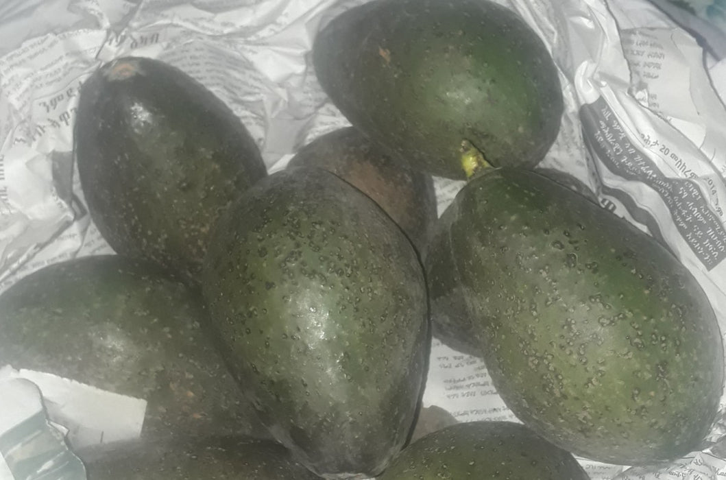 Fresh Avocado from Ethiopia