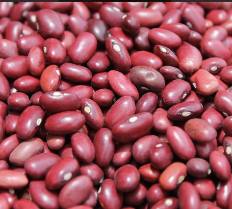 Red Kidney Beans from Ethiopia