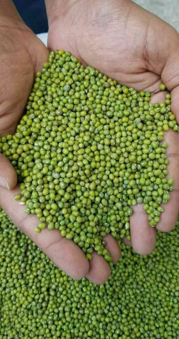 Green Mung Beans from Ethiopia