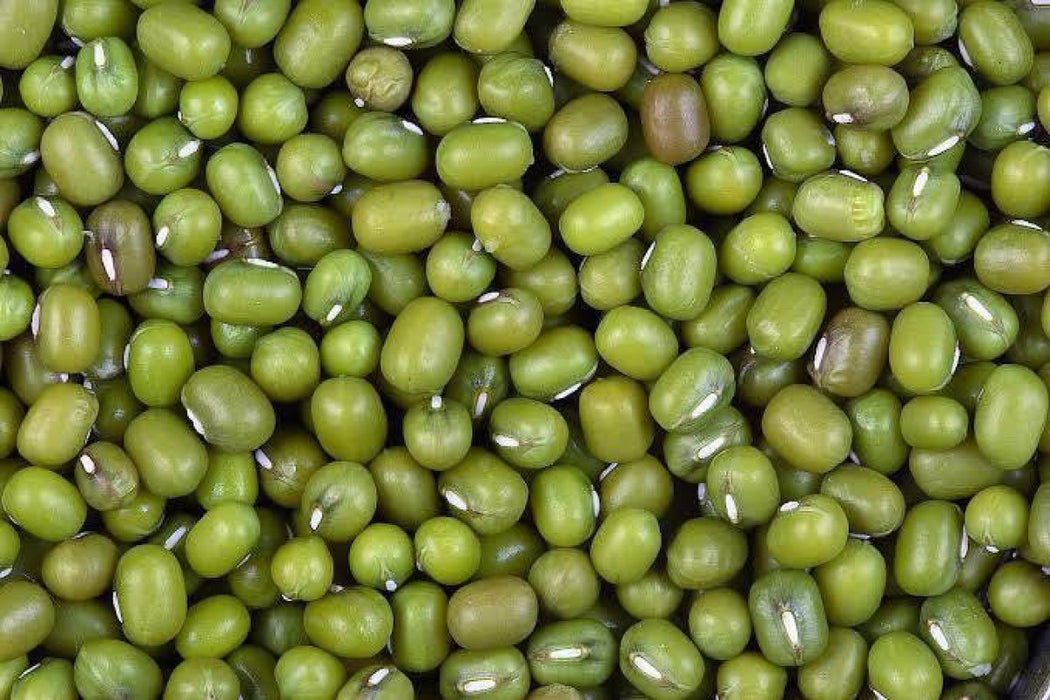 Mung beans from Ethiopia